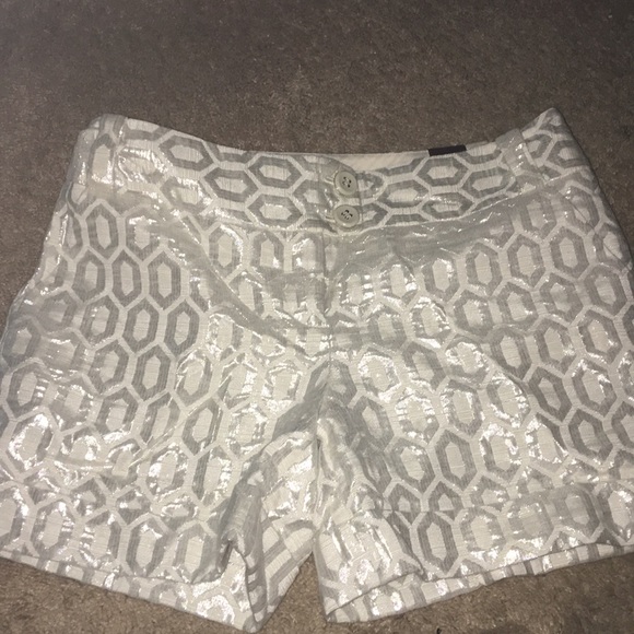 The Limited Pants - The Limited Shorts